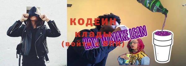 соль ск Богданович