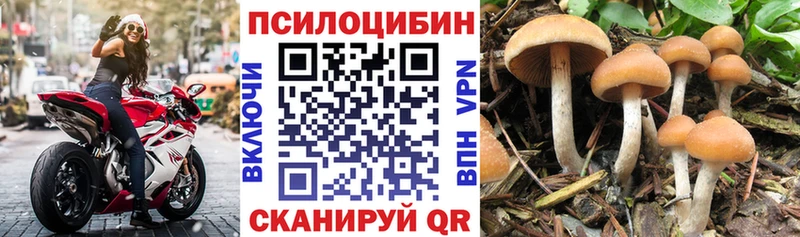 Псилоцибиновые грибы Magic Shrooms  Медынь 